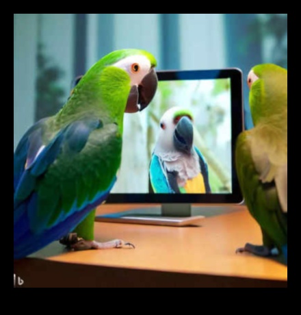 Parrot Playdates: Nurturing Social Interaction for Pet Birds