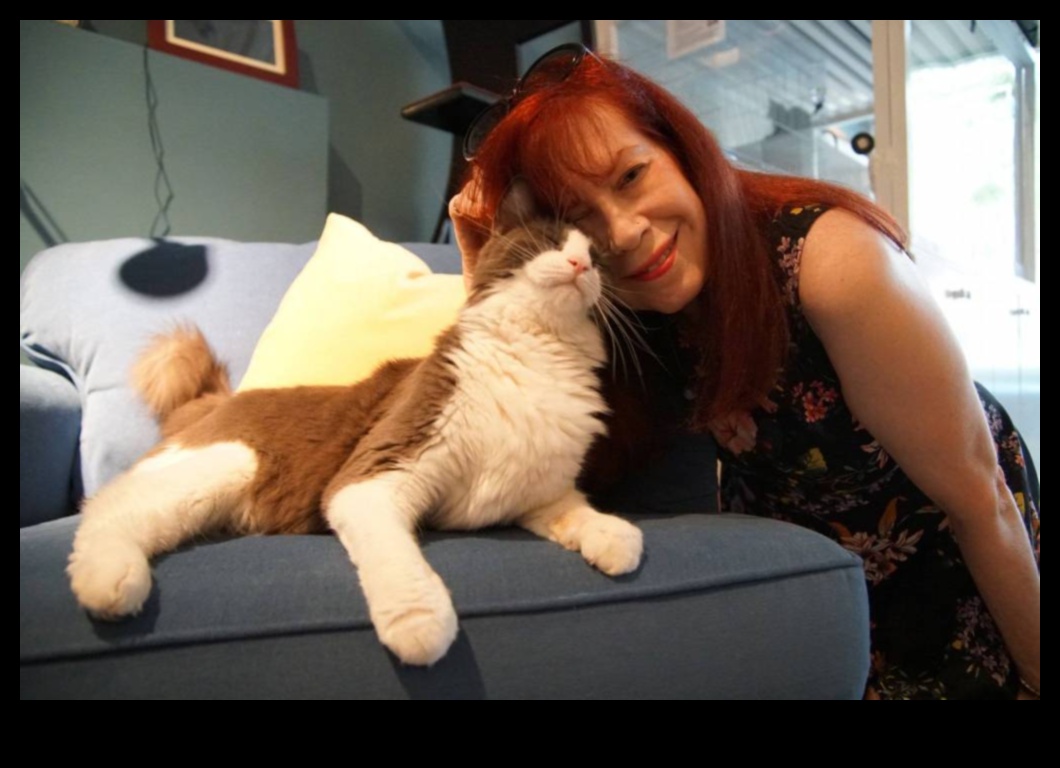 Cat Cafe Chronicles Εξερεύνηση της τάσης των φιλικών προς τις αιλουροειδείς καφετέριες 3 Cat Cafe Chronicles: Exploring the Trend of Feline-Friendly Cafe