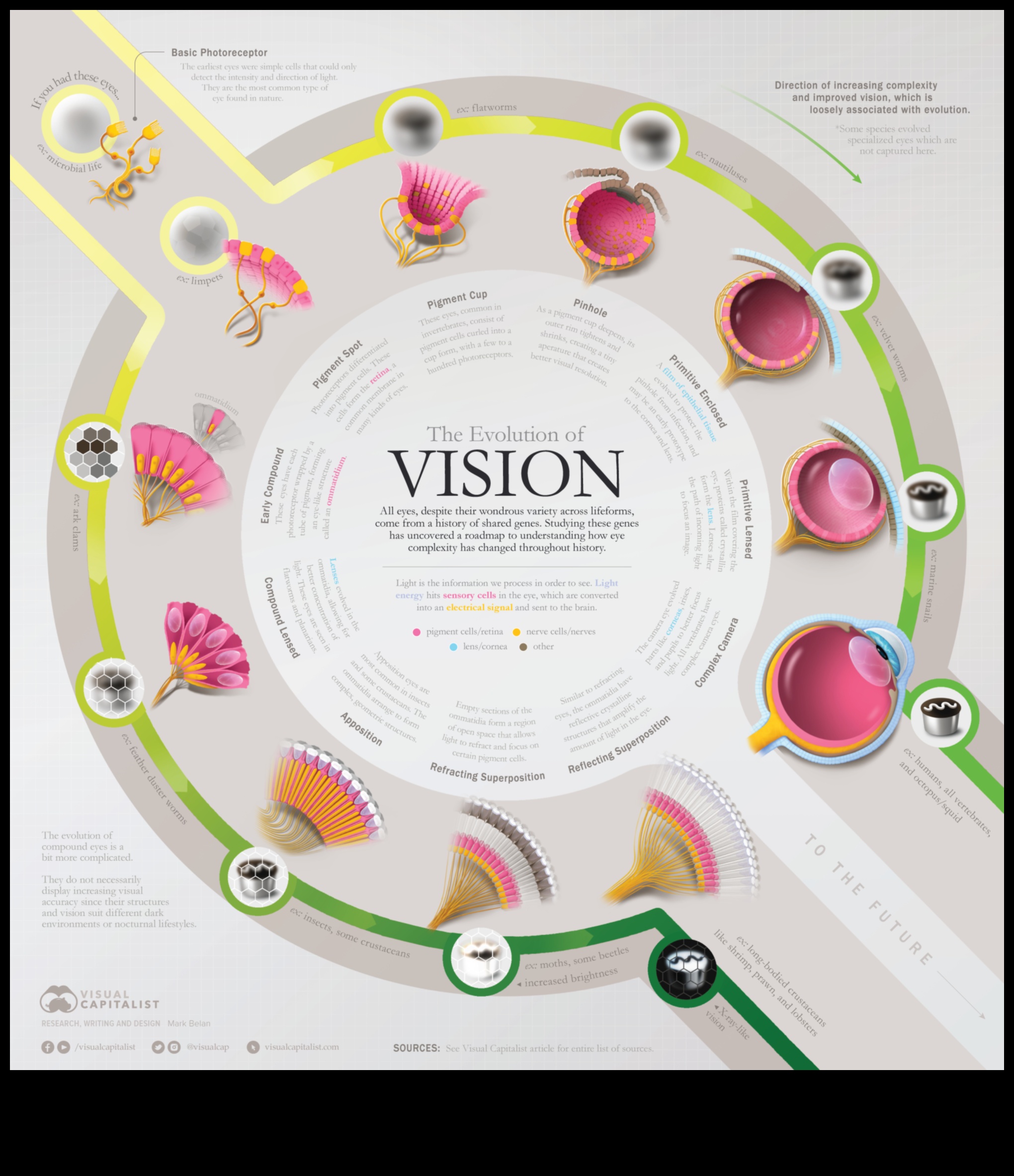 Visual Evolution: Ανυψώνοντας το όραμά σας μέσω της δημιουργικής βελτίωσης φωτογραφιών