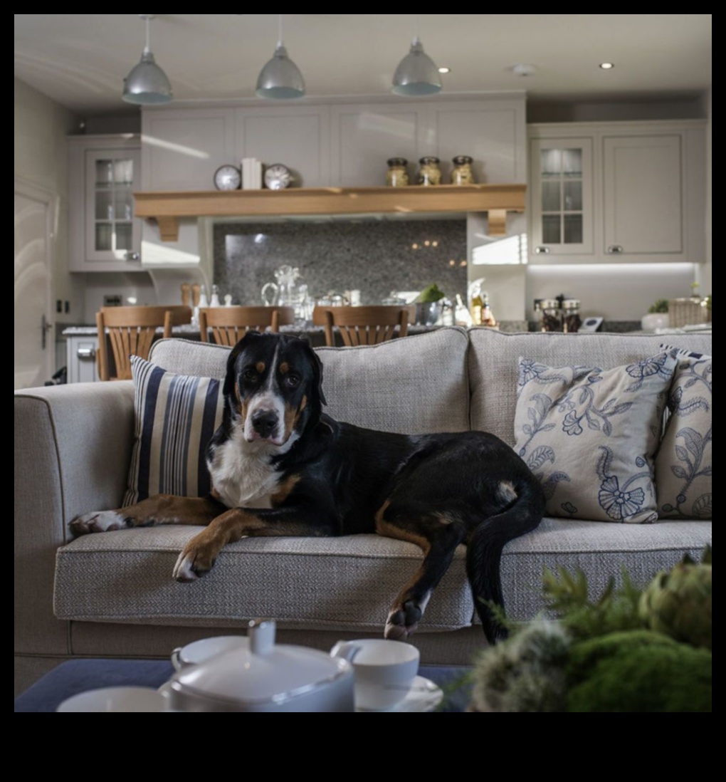 Doggy Decor: Κομψές συμβουλές διακόσμησης εσωτερικού χώρου για σπίτια φιλικά προς τα κατοικίδια