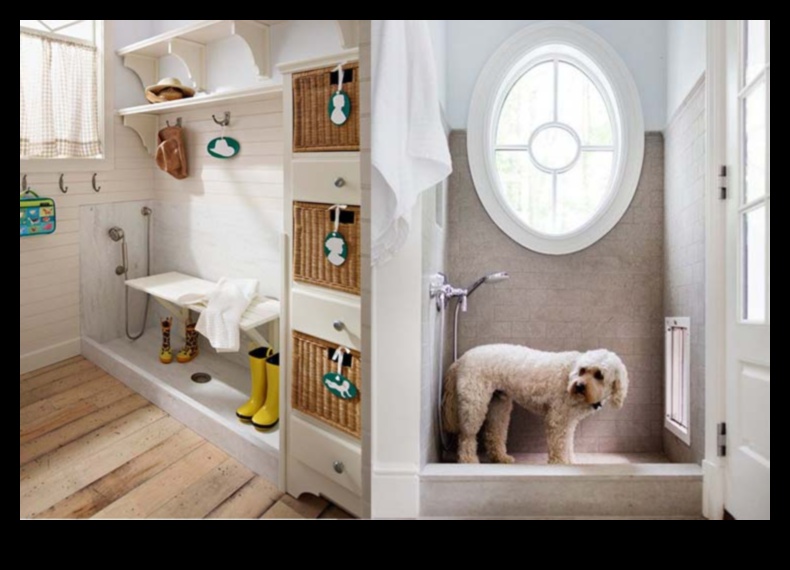 Doggy Decor: Κομψές συμβουλές διακόσμησης εσωτερικού χώρου για σπίτια φιλικά προς τα κατοικίδια