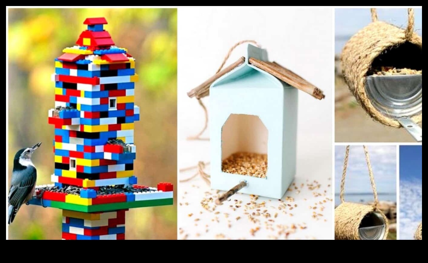 DIY Birding: Δημιουργία σπιτικών ταΐστρων και προσέλκυση τοπικών πτηνών