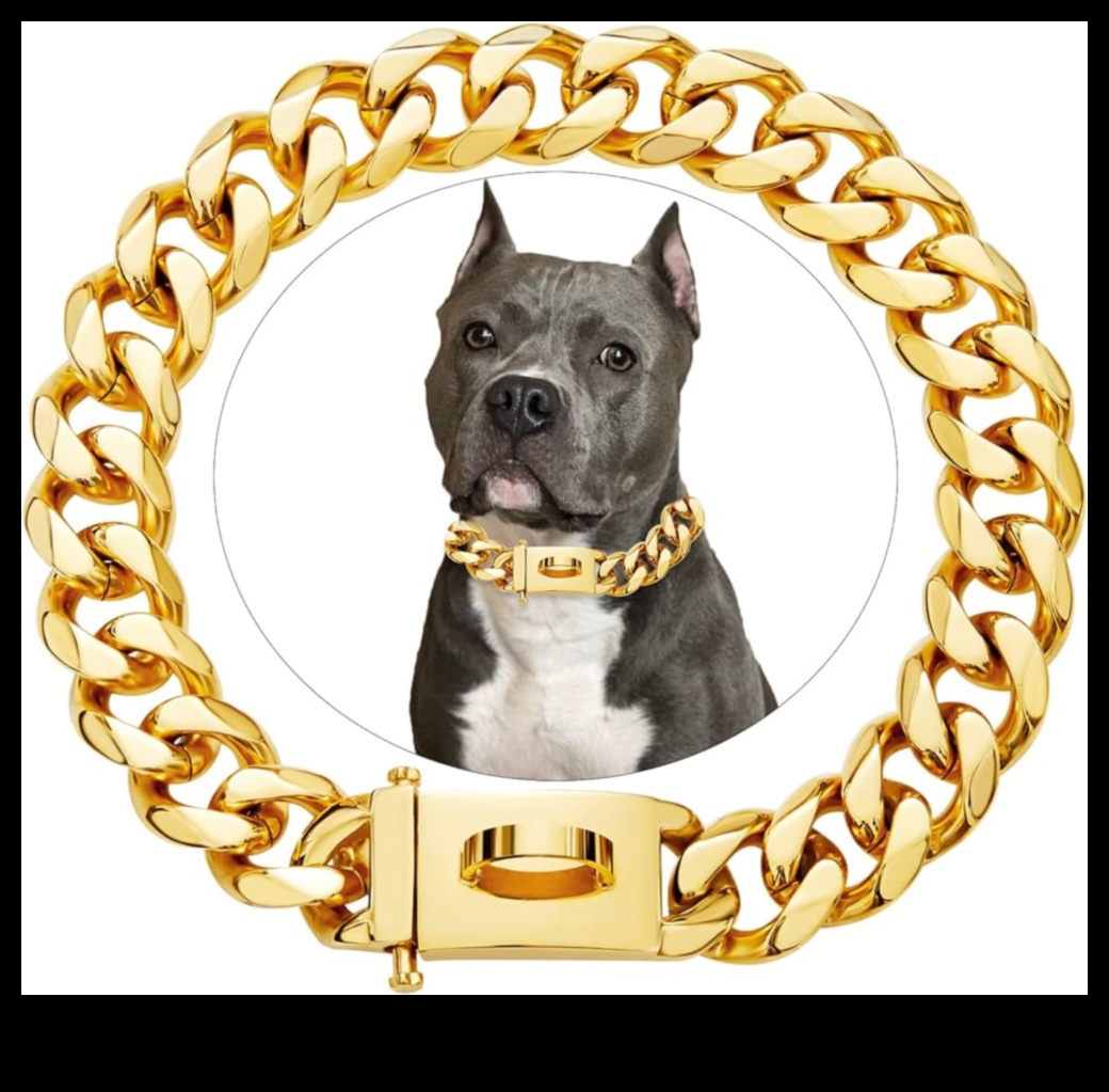 Συλλογή Canine Charm: Growing Your Dog's Chic Collar Assortment
