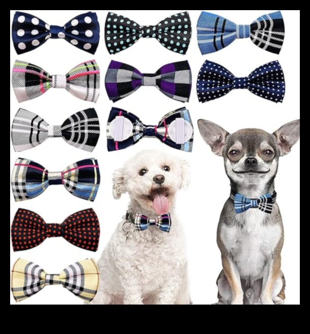 Συλλογή Canine Charm: Growing Your Dog's Chic Collar Assortment