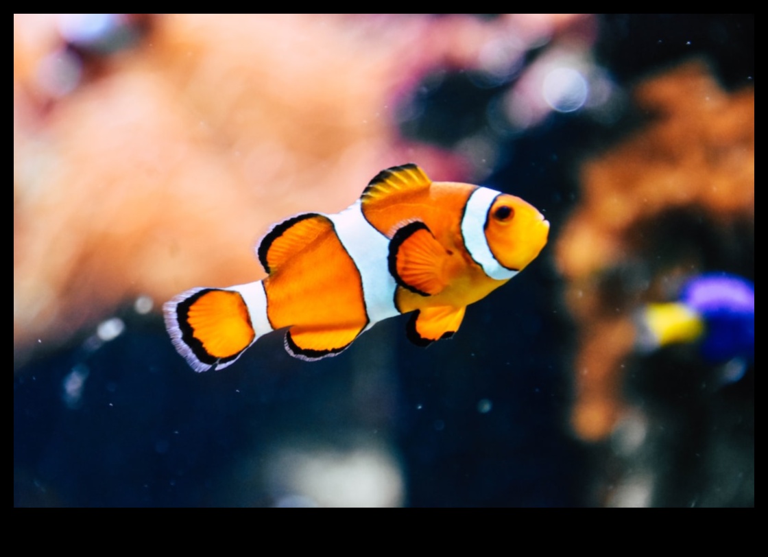 Aqua Cuisine: Μαγειρικές περιπέτειες με λιγότερο γνωστά είδη ψαριών