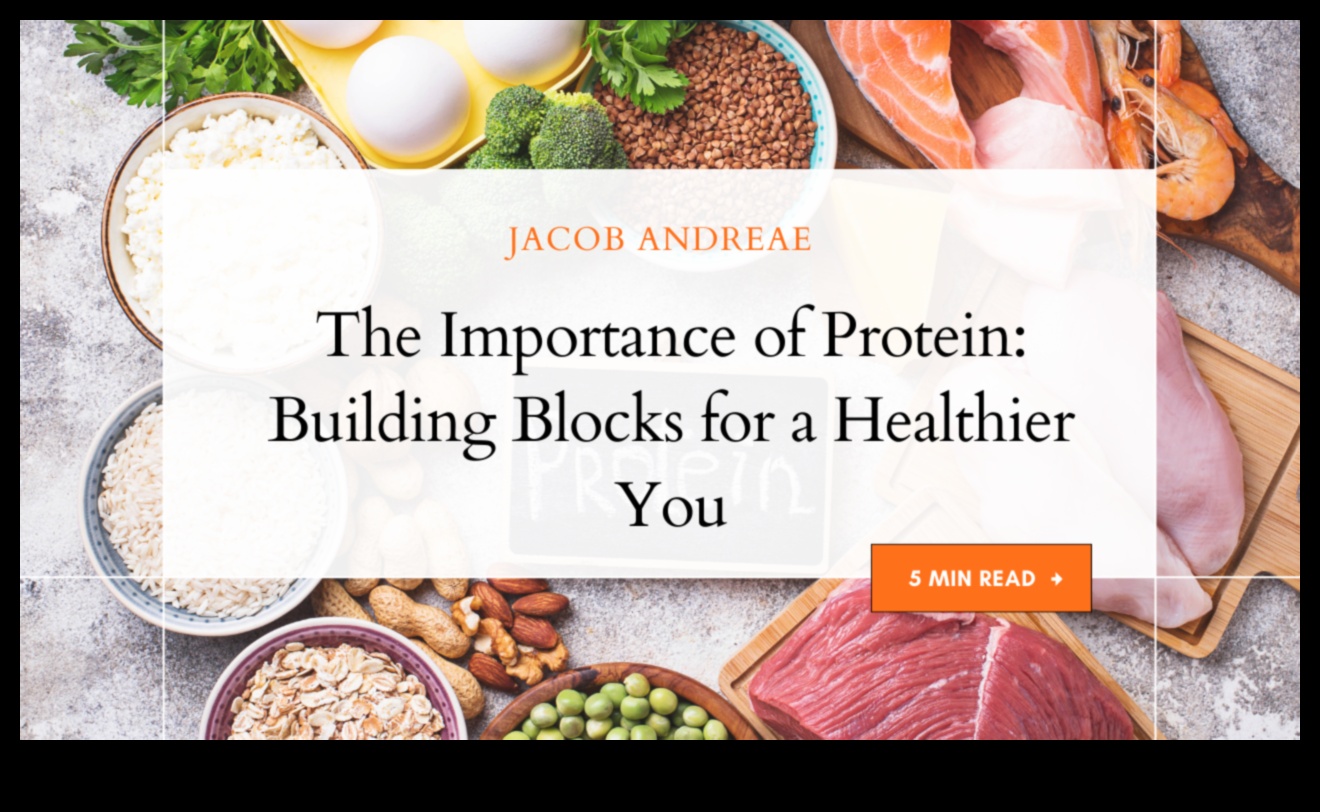 Ο ρόλος των πρωτεϊνών σε μια ισορροπημένη διατροφή