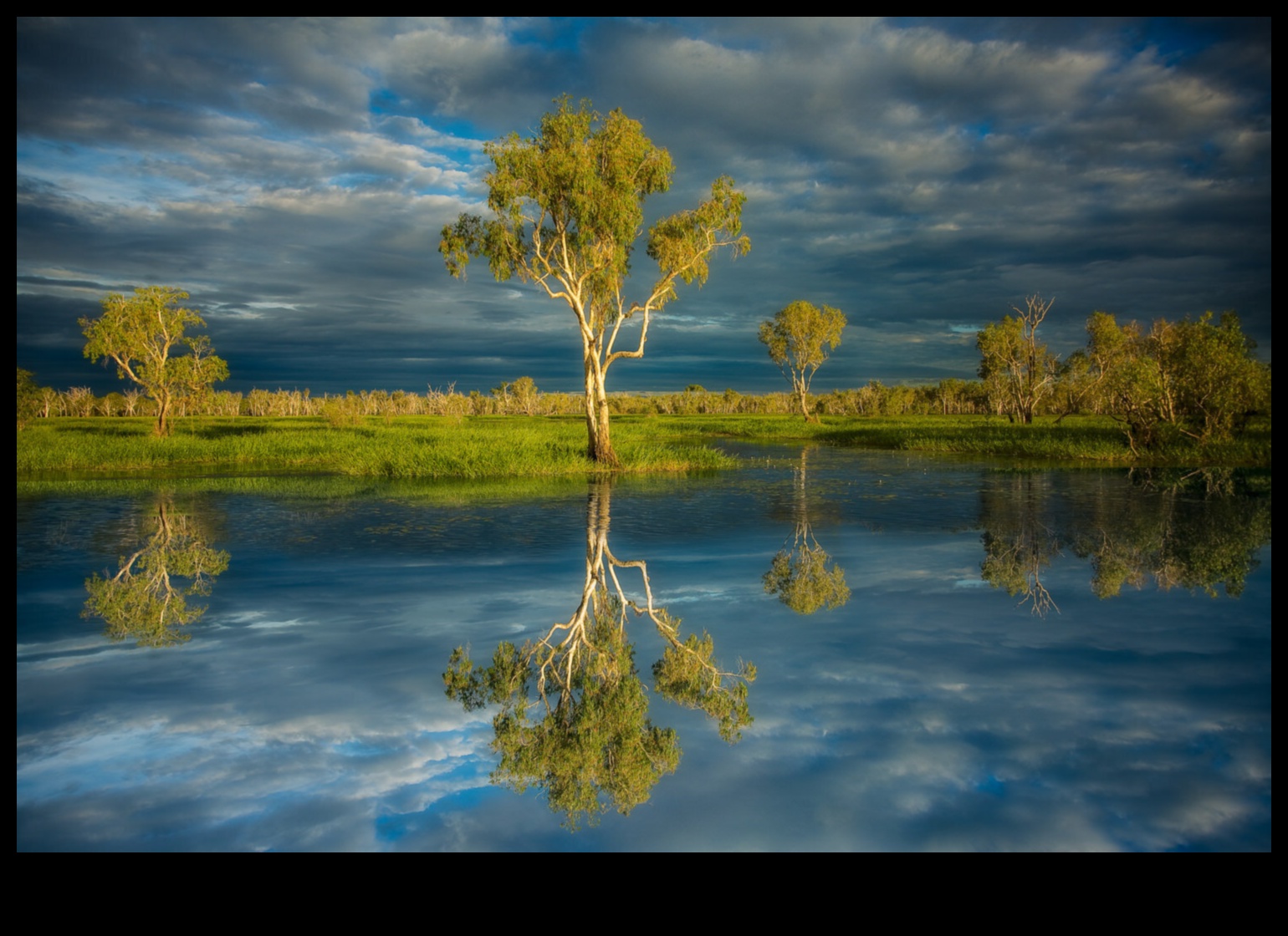 Symmetrical Splendor: Τεχνικές για τη δημιουργία οπτικά αρμονικών συνθέσεων