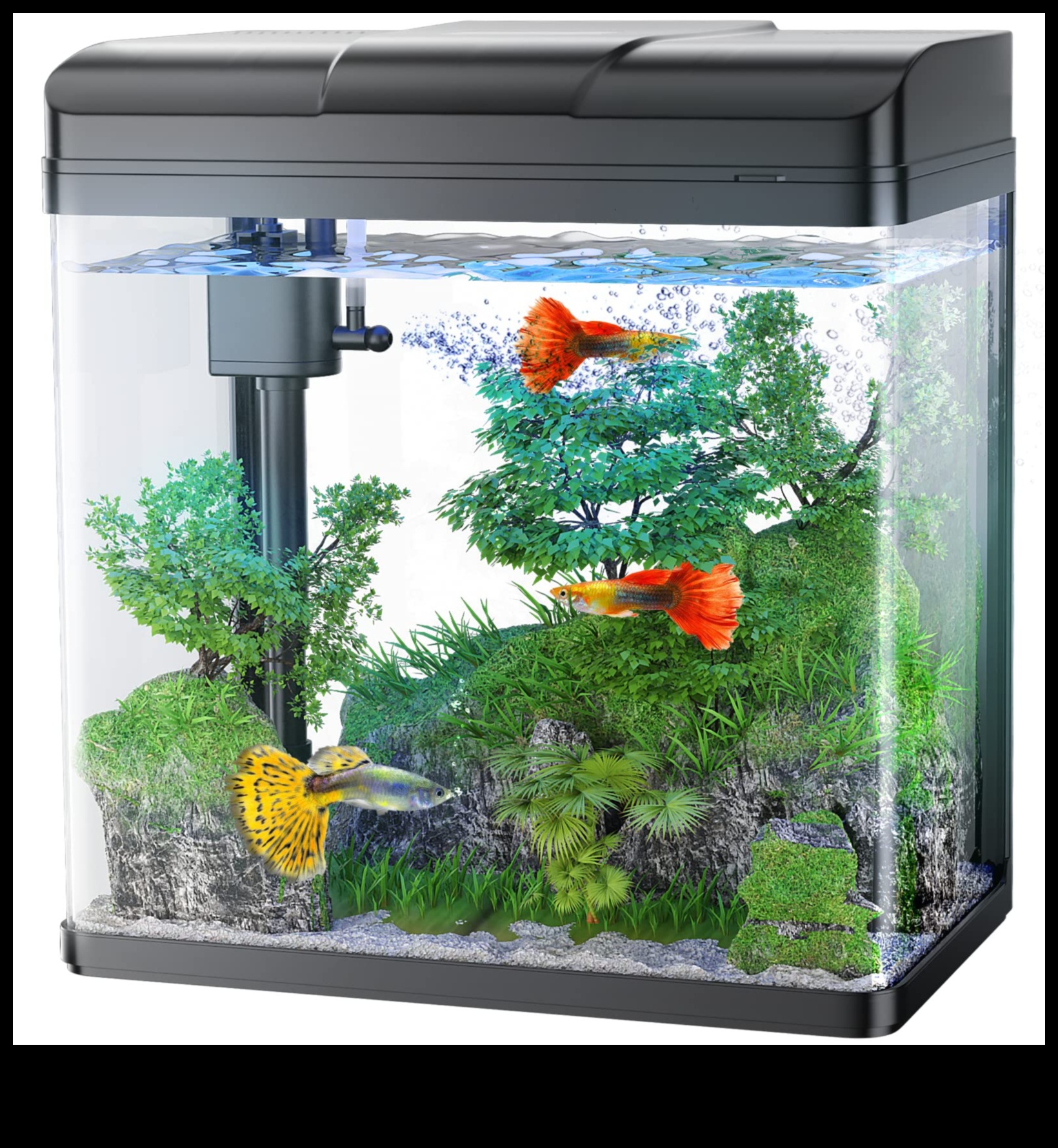 Fish Tank Finesse 5 τρόποι για να ανυψώσετε το ενυδρείο σας με αξεσουάρ 3 Fish Tank Finesse: Ανυψώνοντας το Ενυδρείο σας με Αξεσουάρ