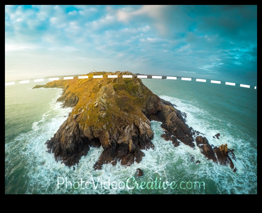 Fisheye Frenzy: Mastering the Art of Distorted Perspective