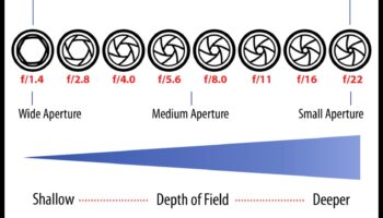 Aperture Alchemy: Mastering Perspectives with Expert Photography Education