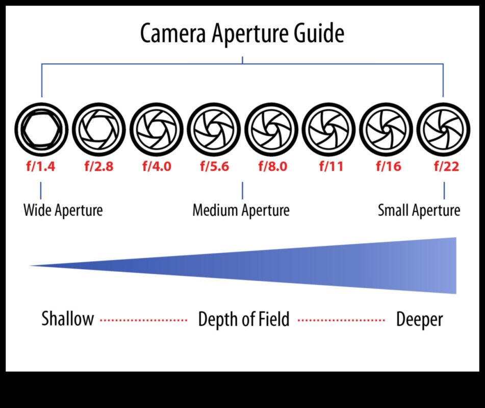 Aperture Alchemy: Mastering Perspectives with Expert Photography Education