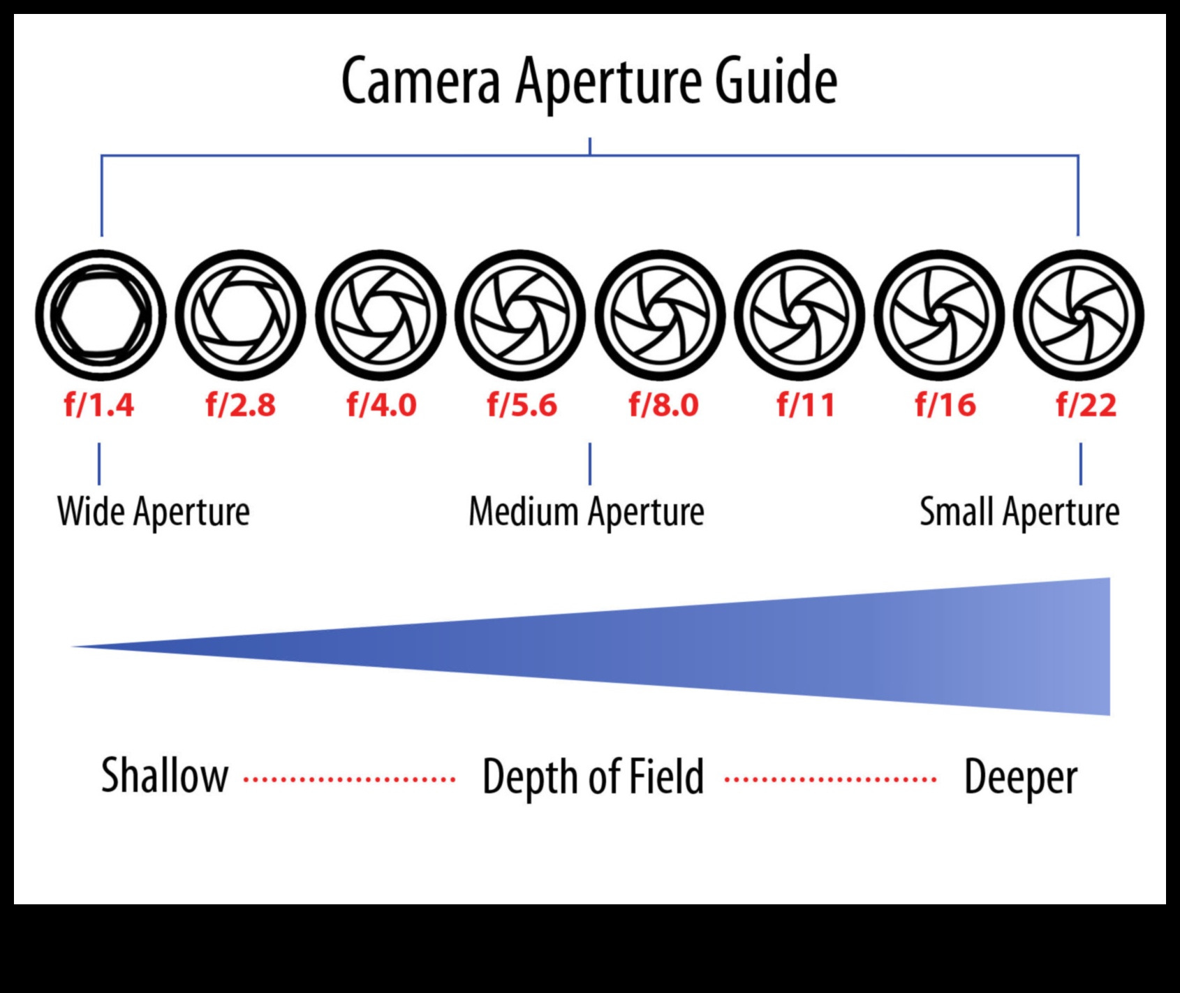 Aperture Alchemy: Mastering Perspectives with Expert Photography Education