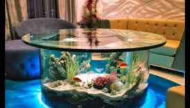 Aquarium Elegance: Διακοσμητικά Αξεσουάρ για Δεξαμενές Ψαριών