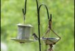 DIY Birding: Δημιουργία σπιτικών ταΐστρων και προσέλκυση τοπικών πτηνών