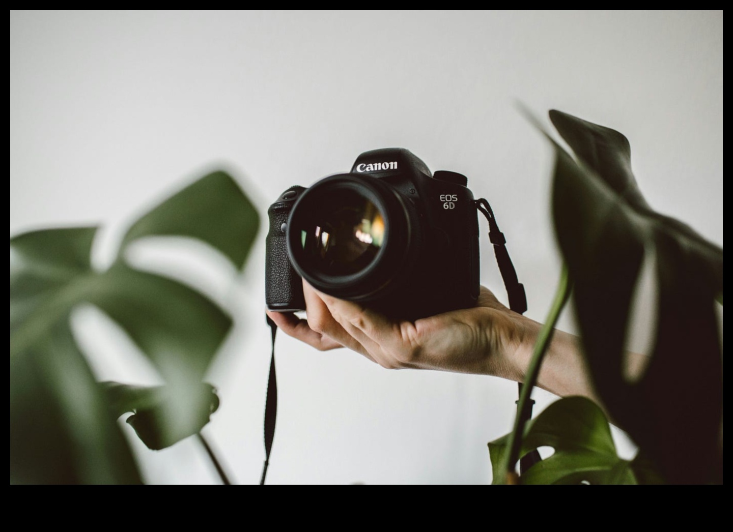 Digital Shuttercraft: Unlocking Potential in Photography Artistry