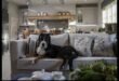 Doggy Decor: Κομψές συμβουλές διακόσμησης εσωτερικού χώρου για σπίτια φιλικά προς τα κατοικίδια