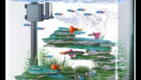 Fish Tank Finesse: Ανυψώνοντας το Ενυδρείο σας με Αξεσουάρ