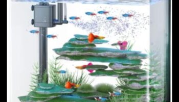 Fish Tank Finesse: Ανυψώνοντας το Ενυδρείο σας με Αξεσουάρ