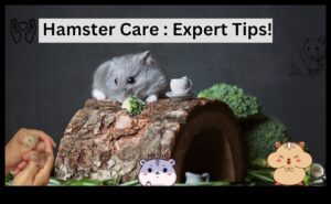 Hamster Haven: Δημιουργώντας το τέλειο σπίτι για τον γούνινο φίλο σας