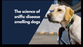 The Science of Sniffing: Κατανόηση της όσφρησης ενός σκύλου