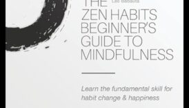 Νοοτροπία Ζεν: Πλοήγηση στη ζωή μέσα από τη συνειδητή ζωή