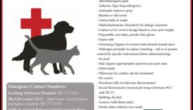 Γούνινο Πρώτες Βοήθειες: Κατασκευή κιτ έκτακτης ανάγκης για κατοικίδια