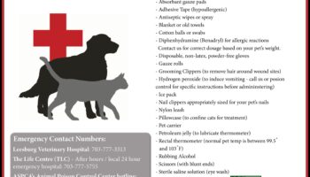 Γούνινο Πρώτες Βοήθειες: Κατασκευή κιτ έκτακτης ανάγκης για κατοικίδια