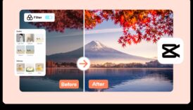 Επεξεργαστείτε την κομψότητα: Ανυψώνοντας τη φωτογραφία σε νέα ύψη μέσω βελτιστοποίησης