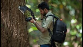 The Art of Small: Η μαγευτική εξερεύνηση της μακρο φωτογραφίας