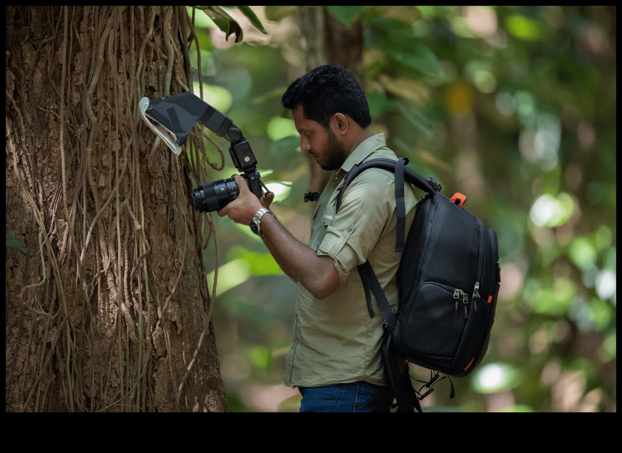 The Art of Small: Η μαγευτική εξερεύνηση της μακρο φωτογραφίας