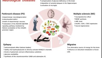 Κέτο και αυτοάνοσες καταστάσεις: Εξερεύνηση συνδέσμων