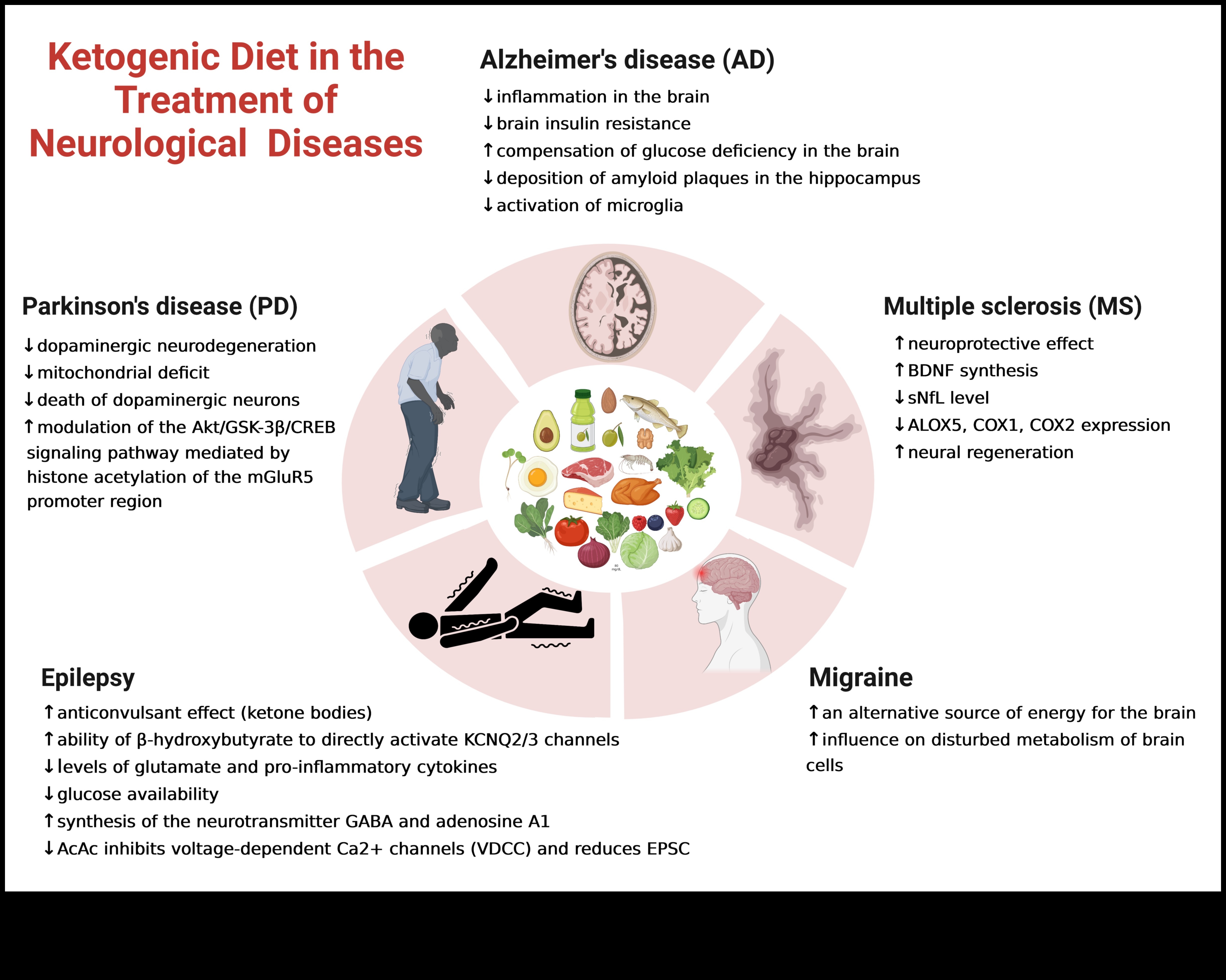 Κέτο και αυτοάνοσες καταστάσεις: Εξερεύνηση συνδέσμων