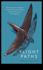 Migration Mysteries: The Incredible Journeys of Migration Birds
