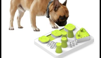 Παιχνιδιάρικα πόδια: Διαδραστικά παιχνίδια για ψυχική διέγερση