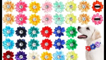 Συλλογή Canine Charm: Growing Your Dog's Chic Collar Assortment