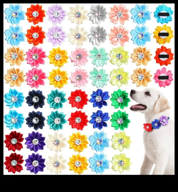 Συλλογή Canine Charm: Growing Your Dog's Chic Collar Assortment