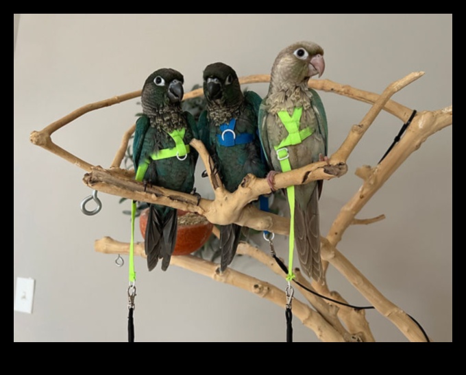 Parrot Playdates: Nurturing Social Interaction for Pet Birds